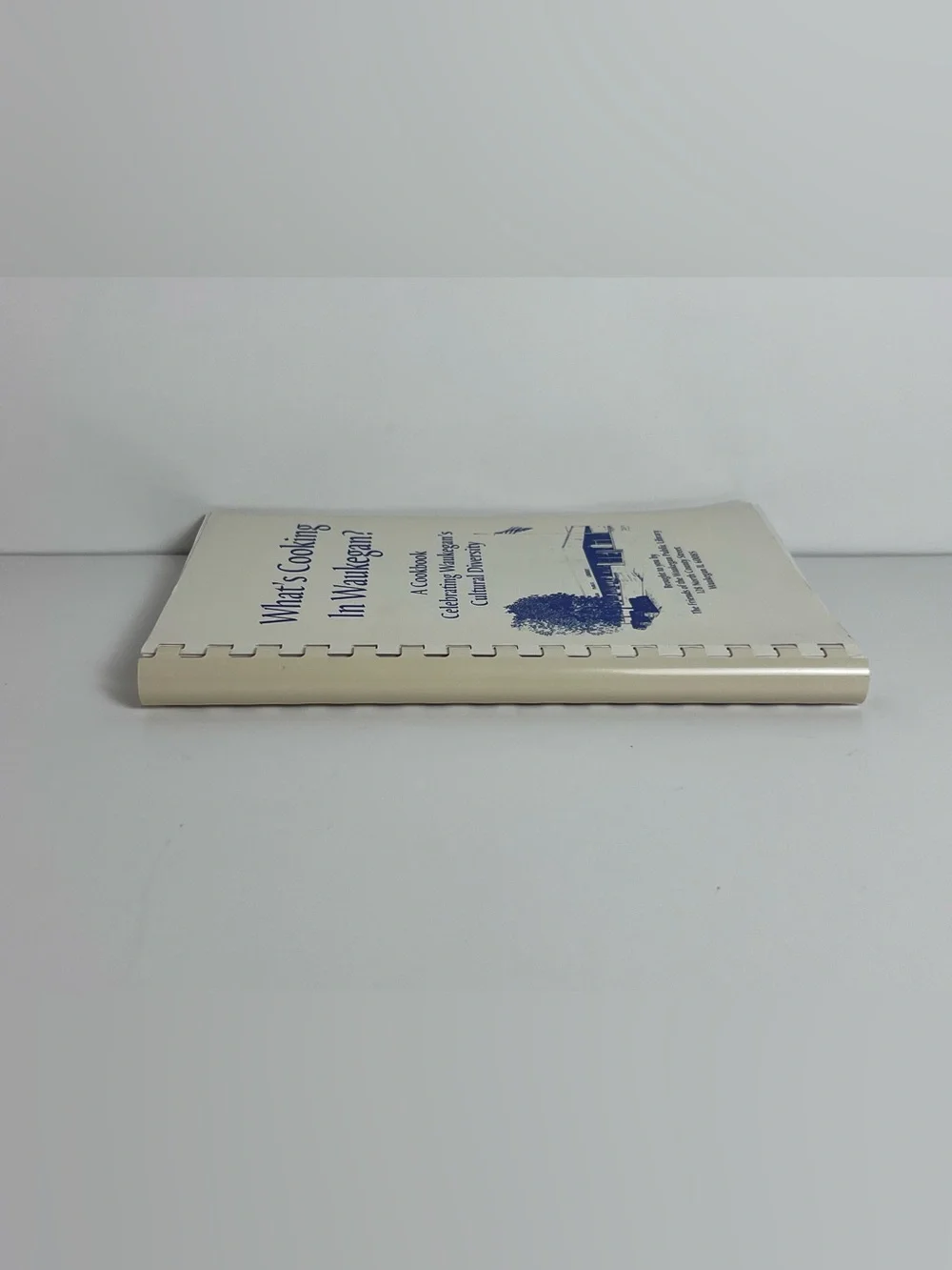 VTG Spiral Cookbook What’s Cooking In Waukegan Illinois Public Library